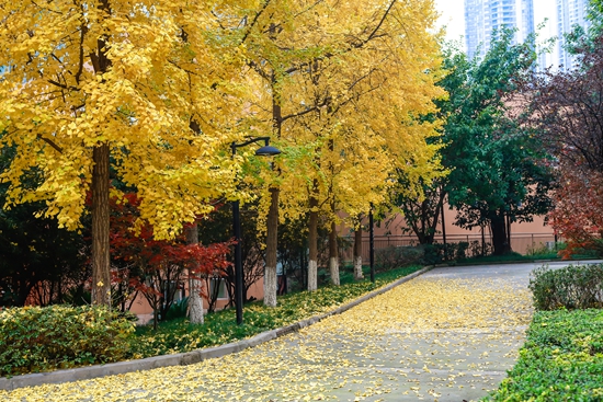 _MG_8417 1920.jpg